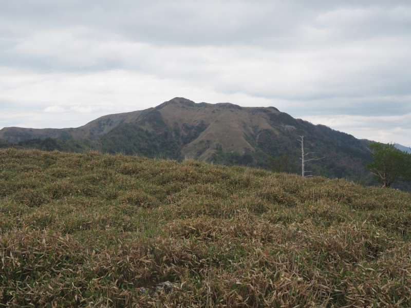 P5277094
