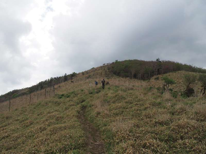 P5277099