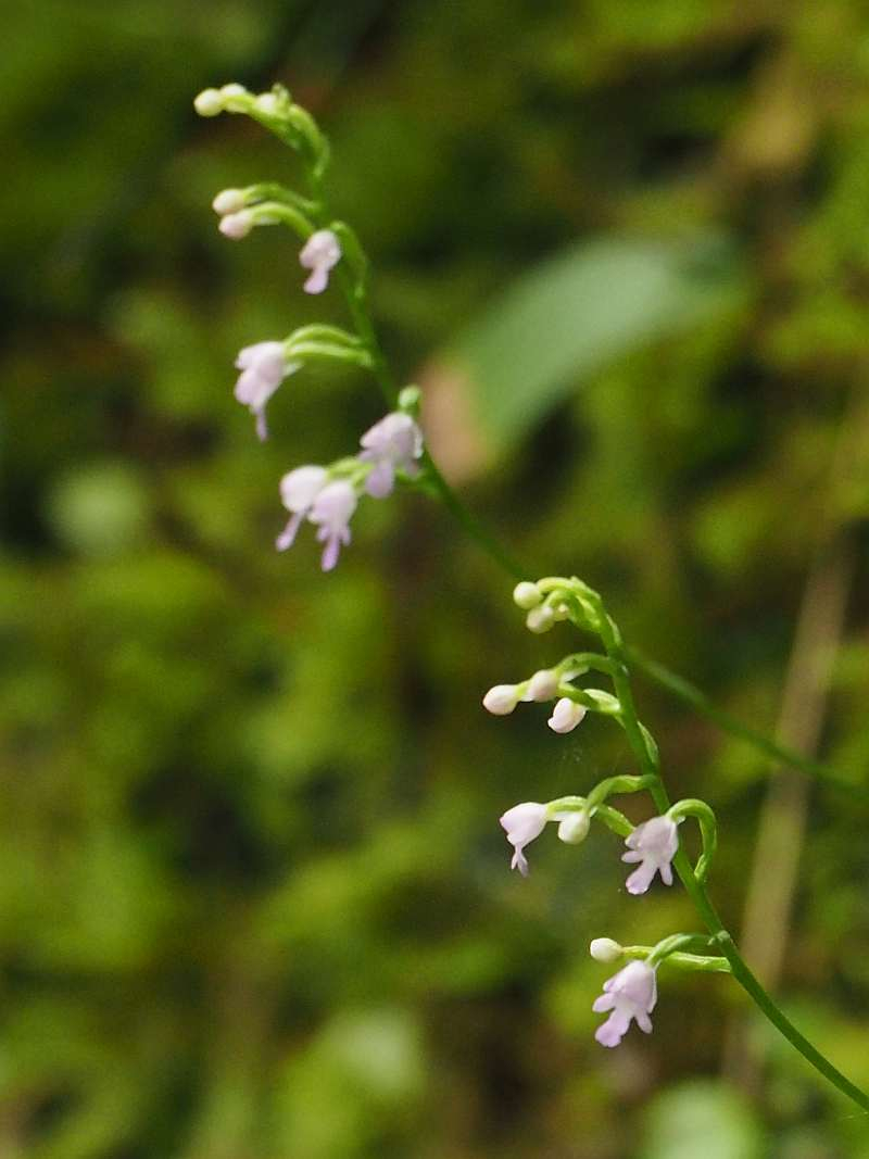 P6258934