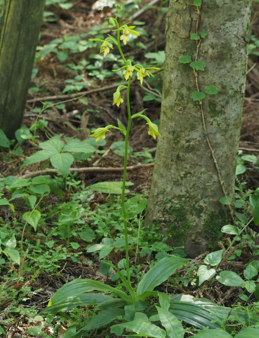 P6289101