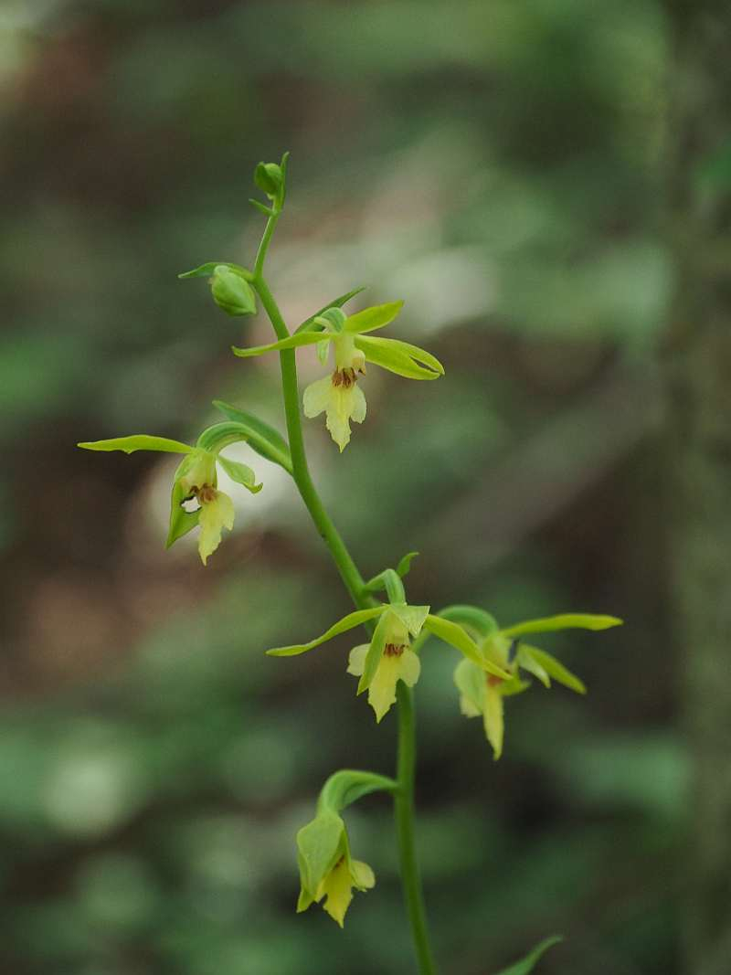 P6289103