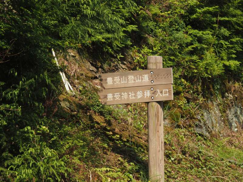P6017324