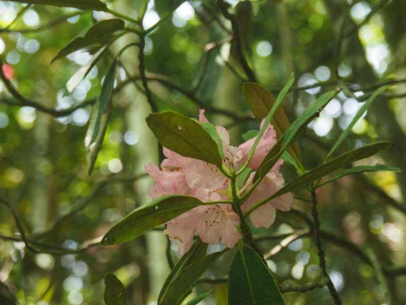 P6017373