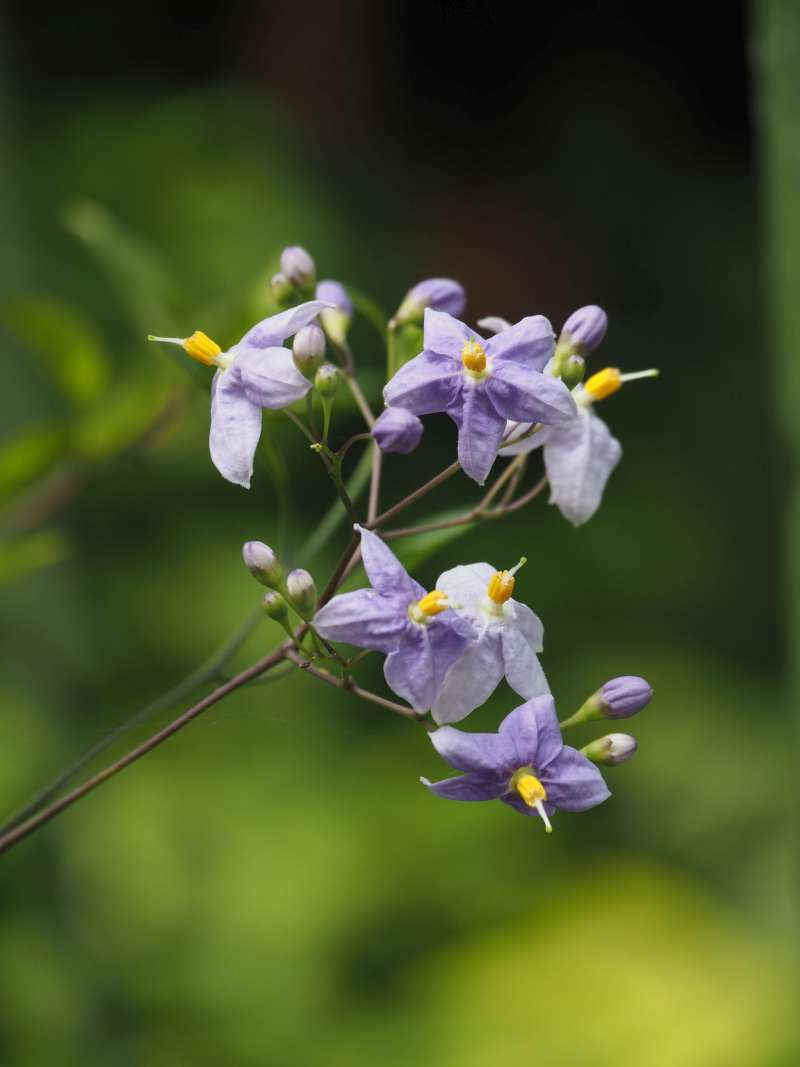 P7029288