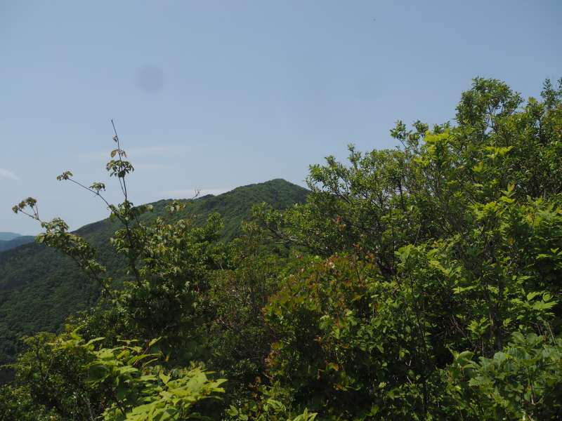 P6017404