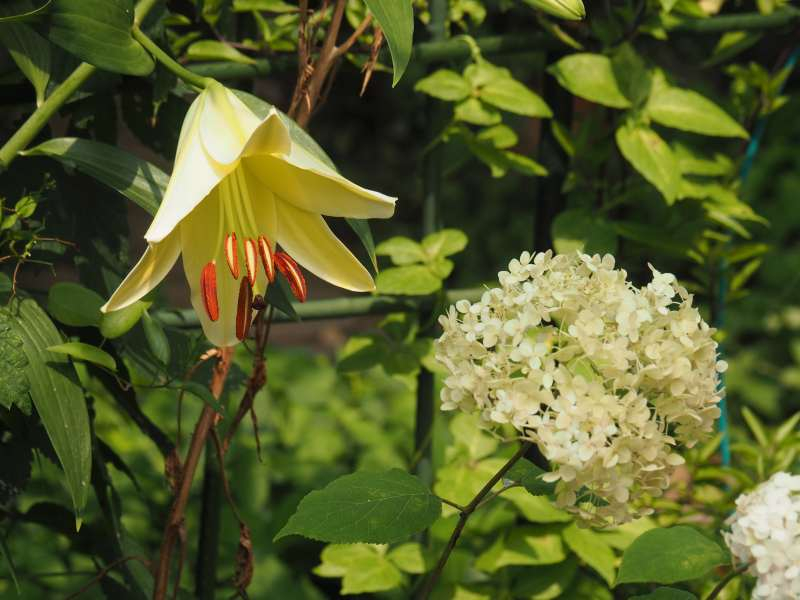 P7039301