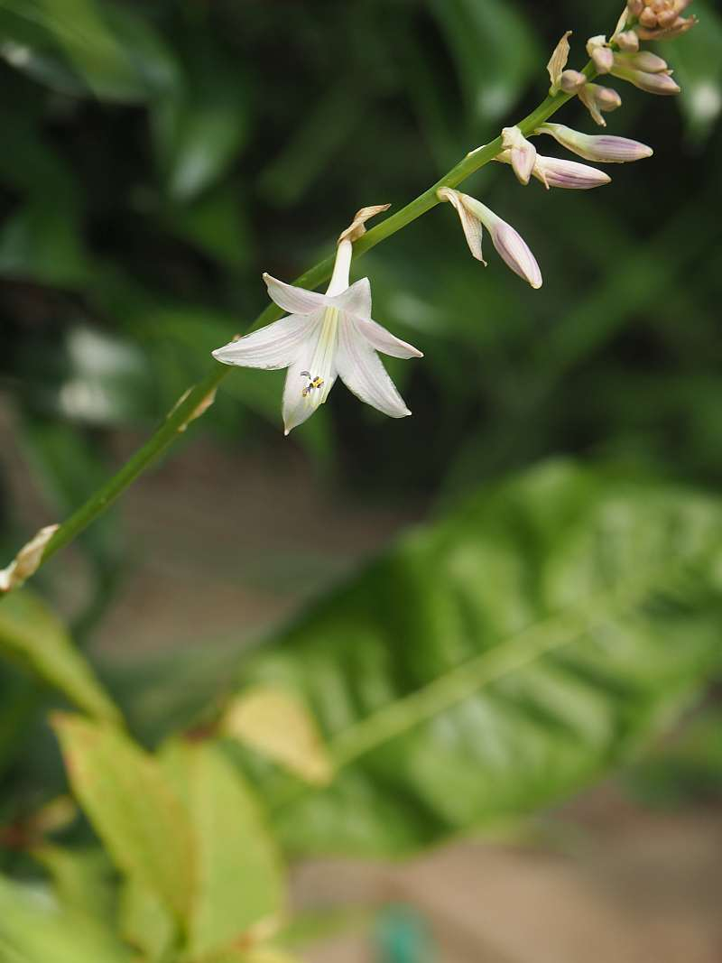 P7039304