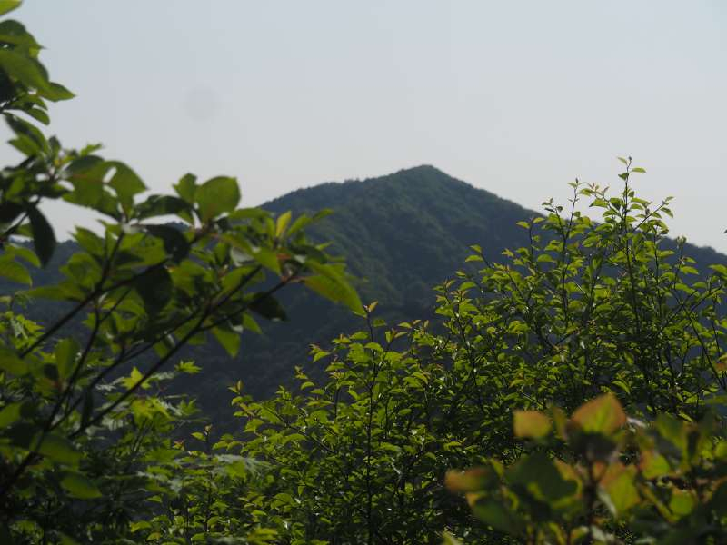P6017544