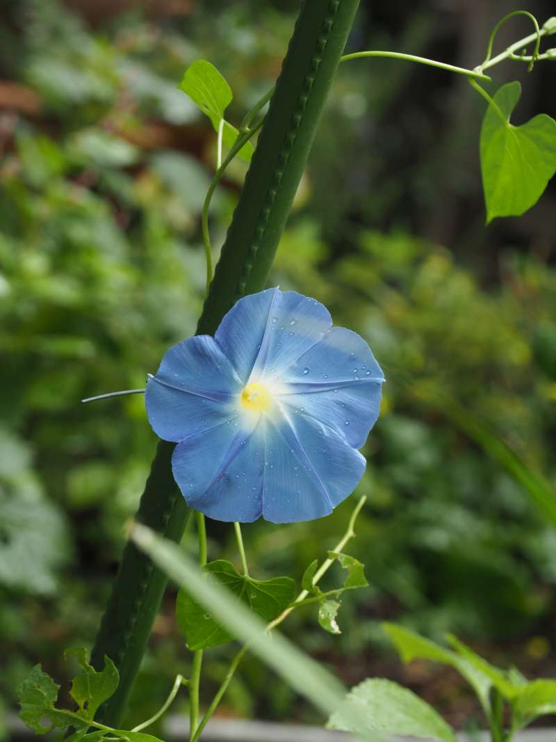 P7049307