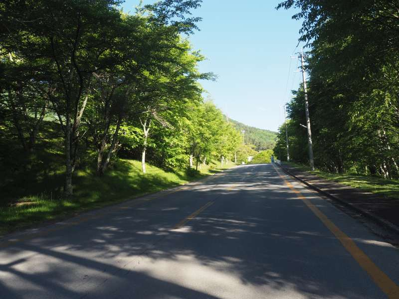 P6077733
