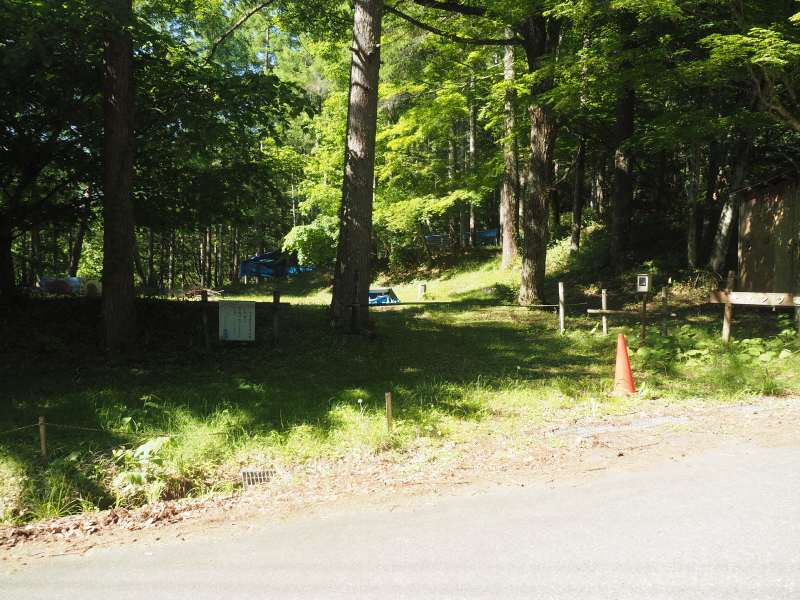 P6077818