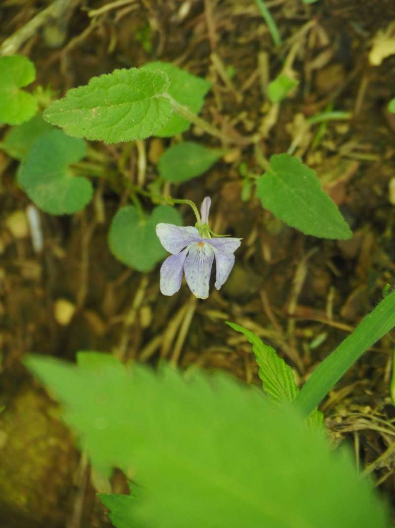 P6077900