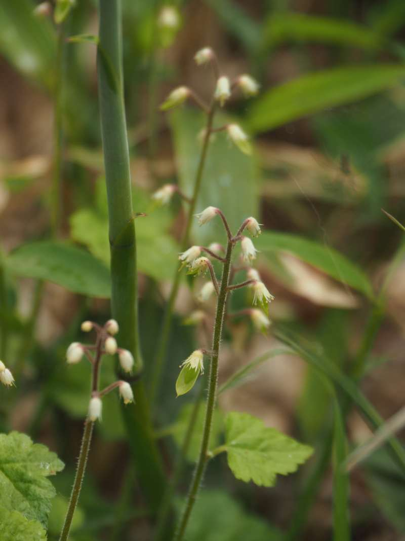 P6077973