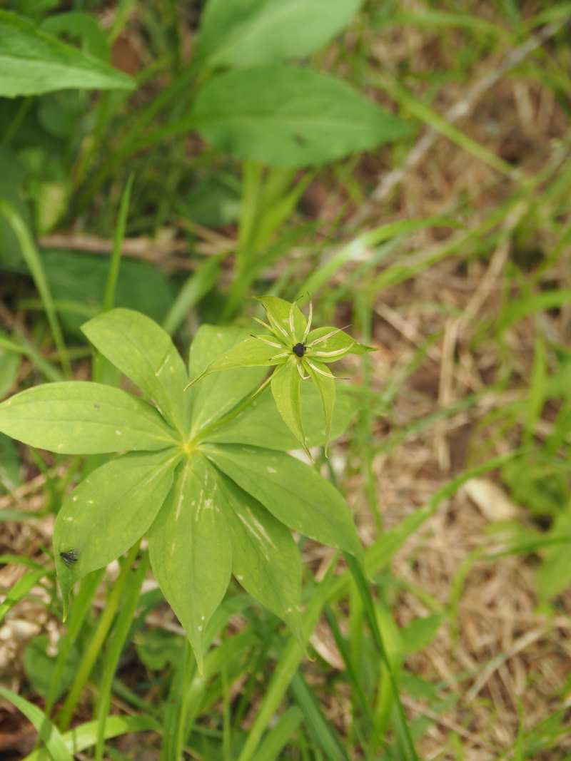 P6078001