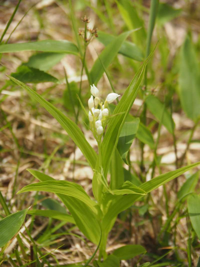 P6078004