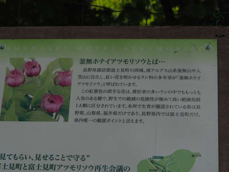 P6078032