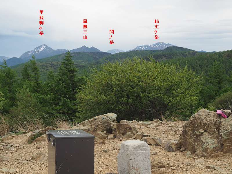 P6078062