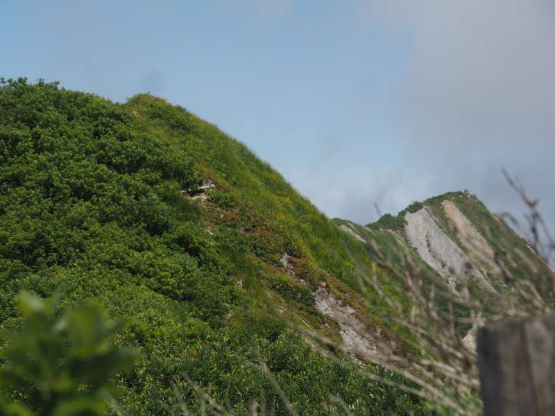 P7129815