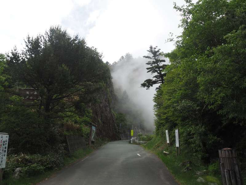 P6168558
