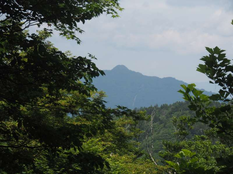 P6218680
