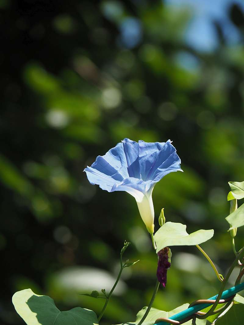 P7159950