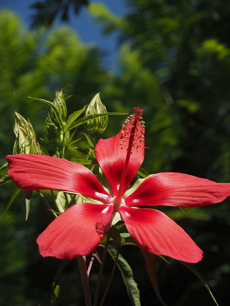 P7159952