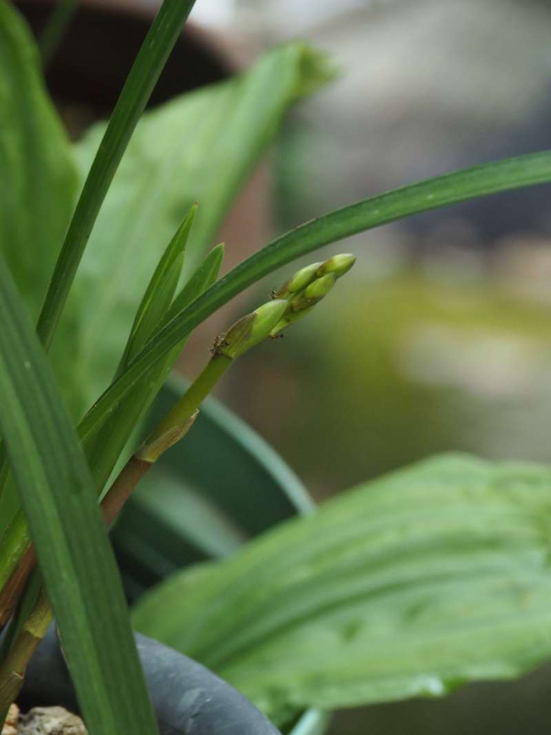 P7169958