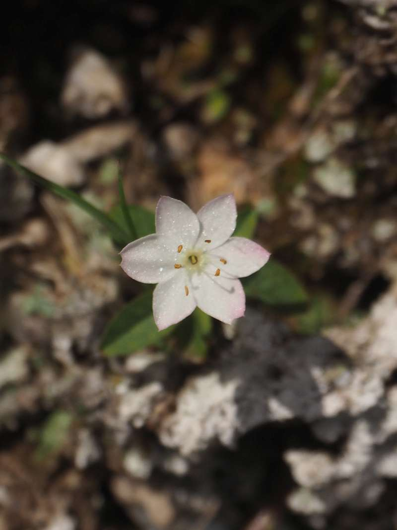 P6218802