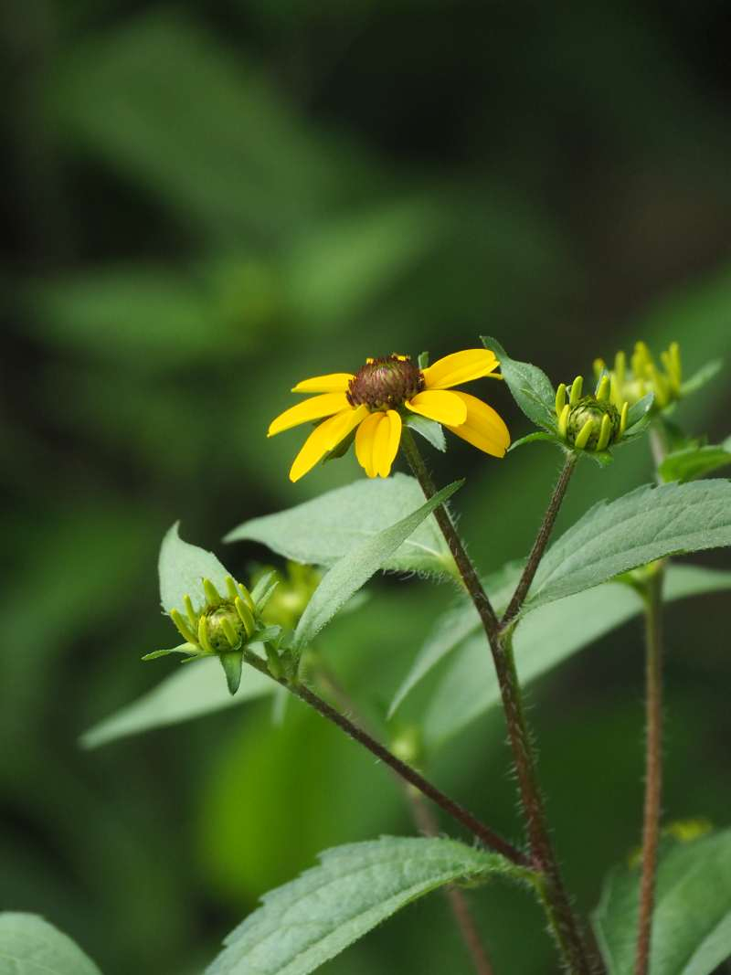 P7179991