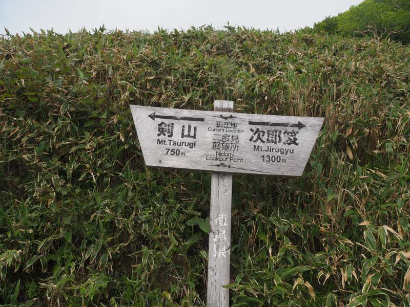 P6218831