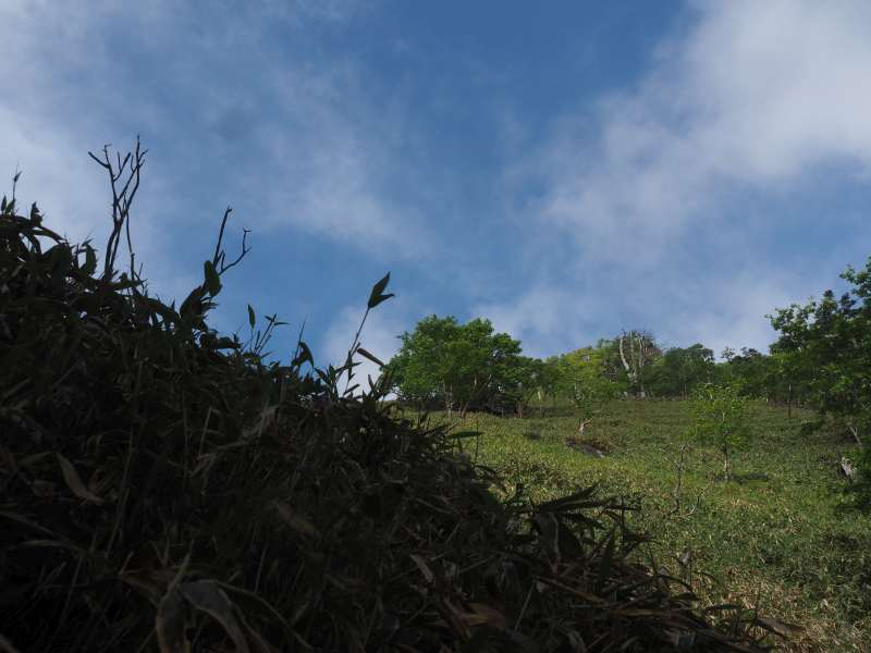 P6218843
