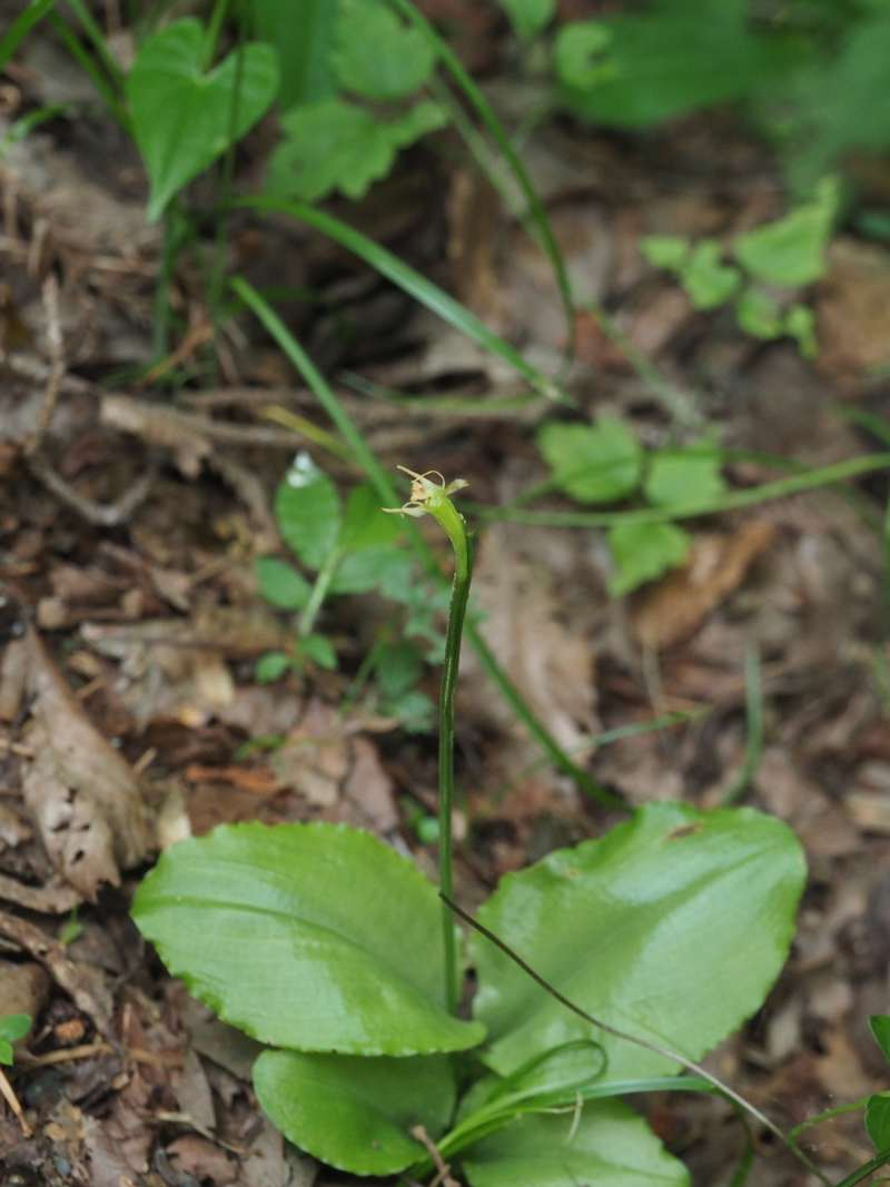 P7019272
