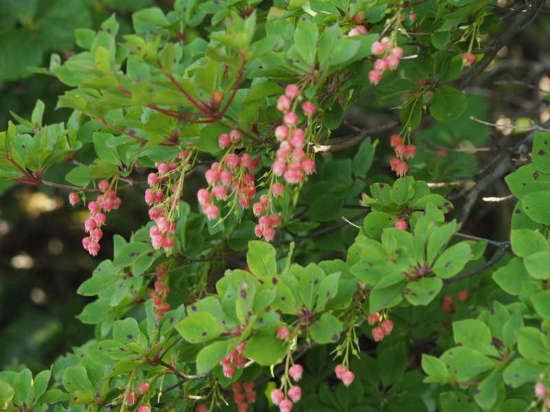 P7069331