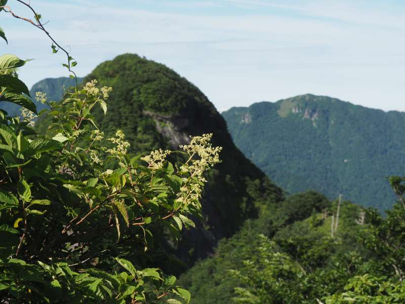 P7069336