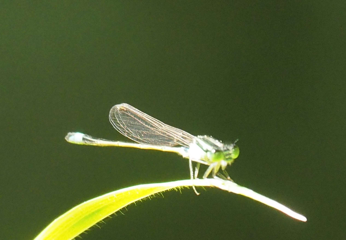 P7190080