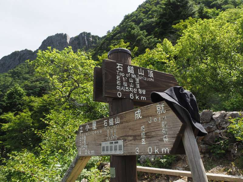 P7069506