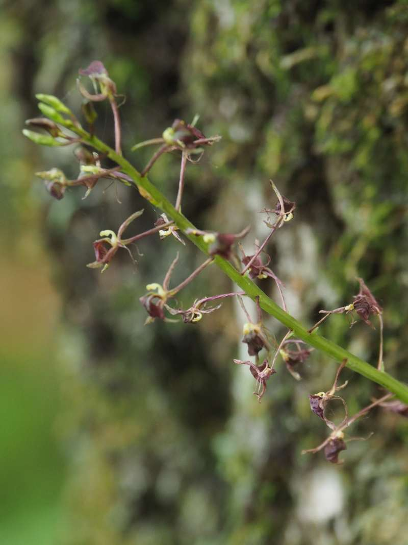 P7069518_2
