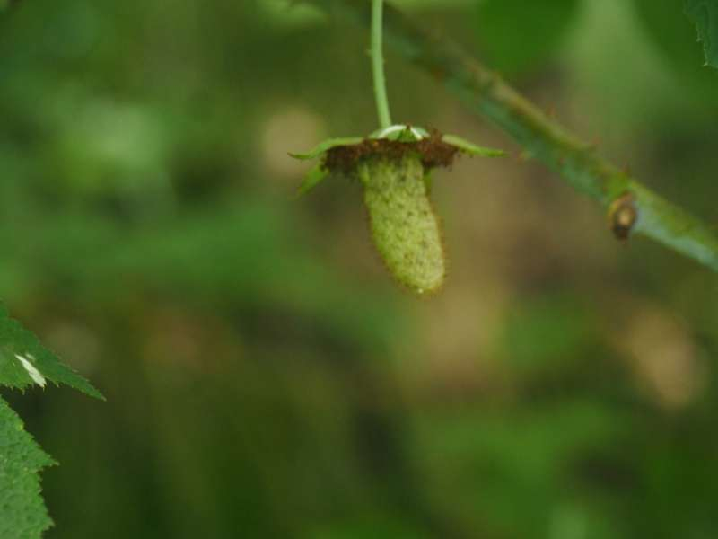 P7069521