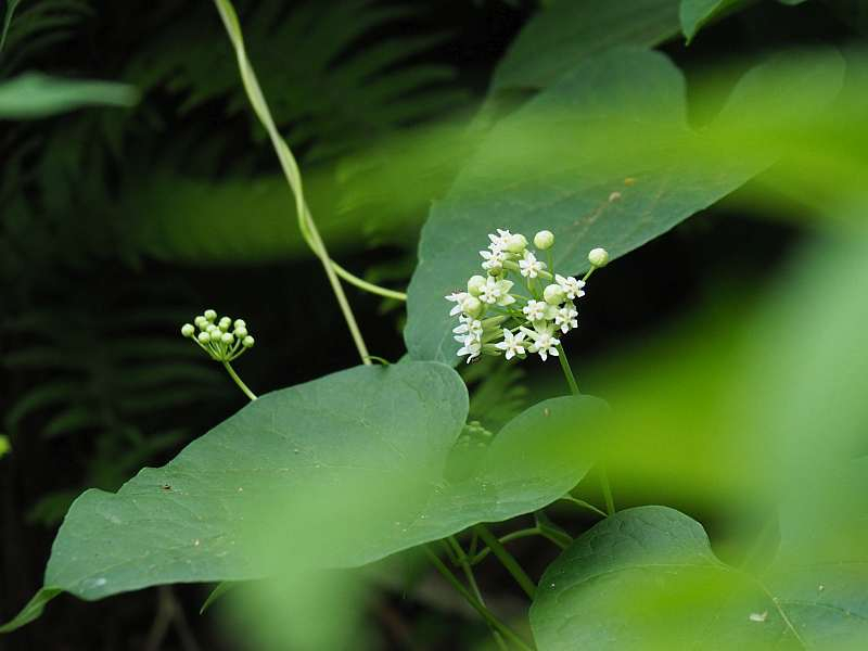 P7069535