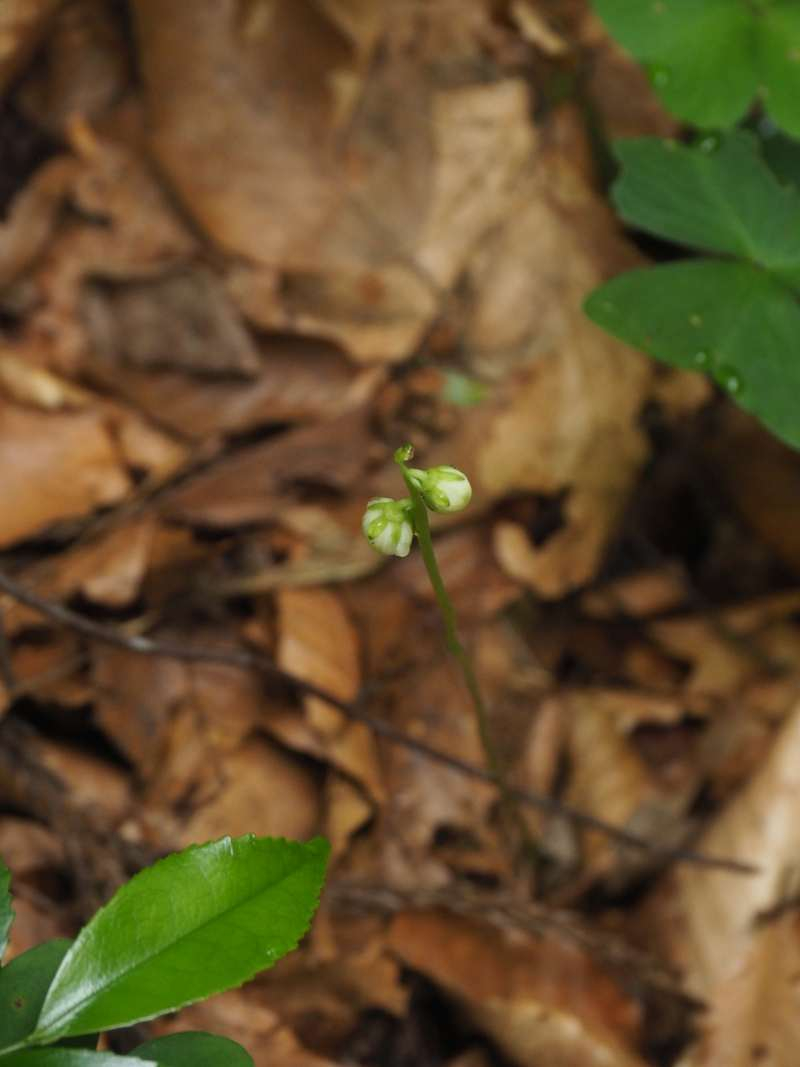 P7129663_2