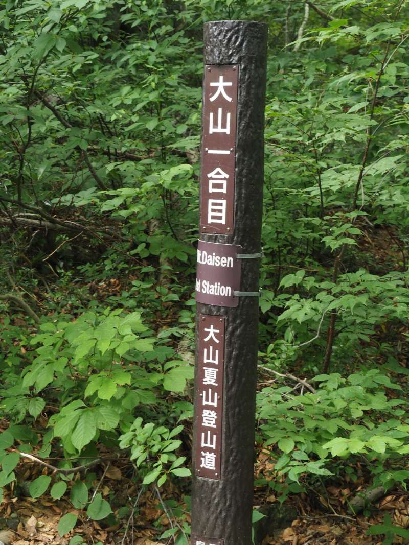 P7129668