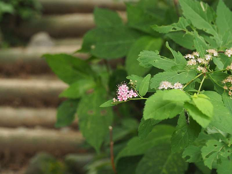P7129701