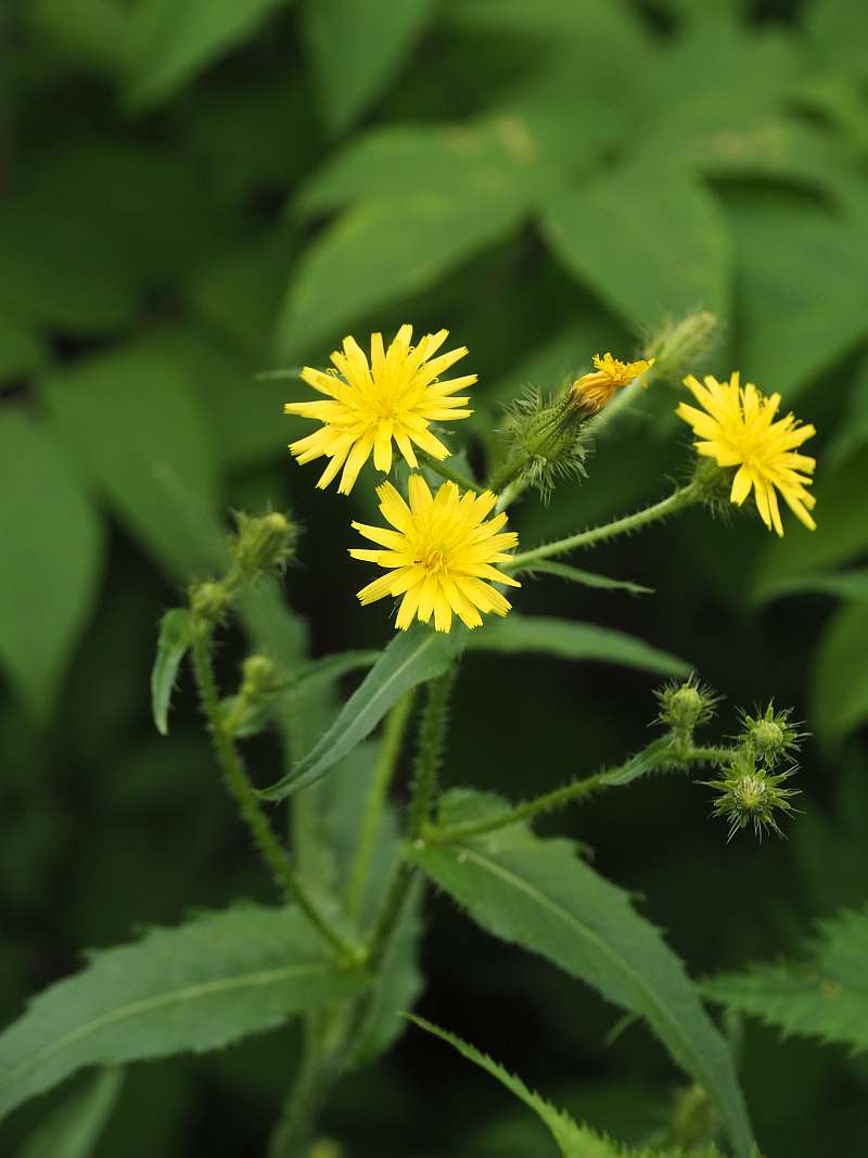 P7129717