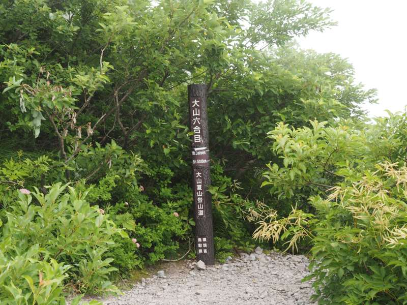 P7129721