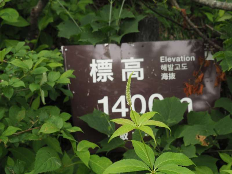 P7129727