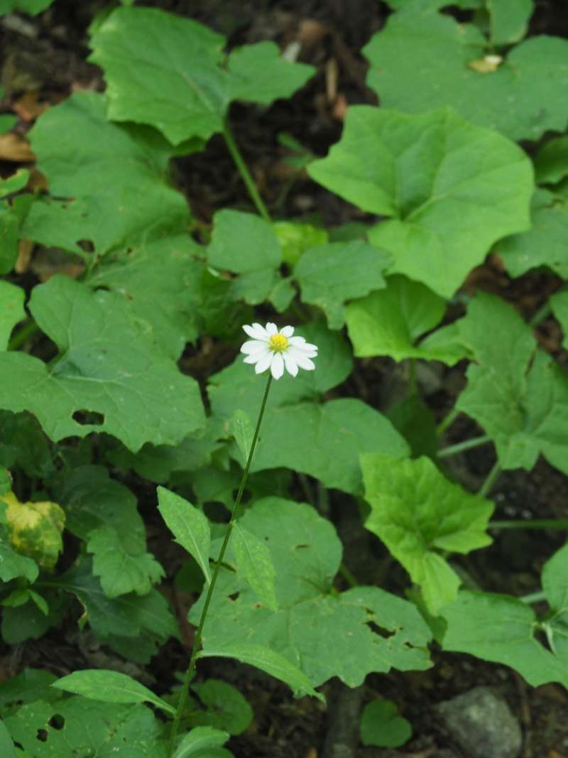 P7129874