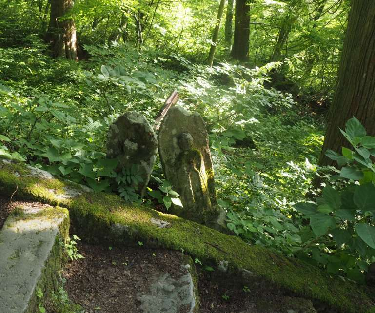 P7129894