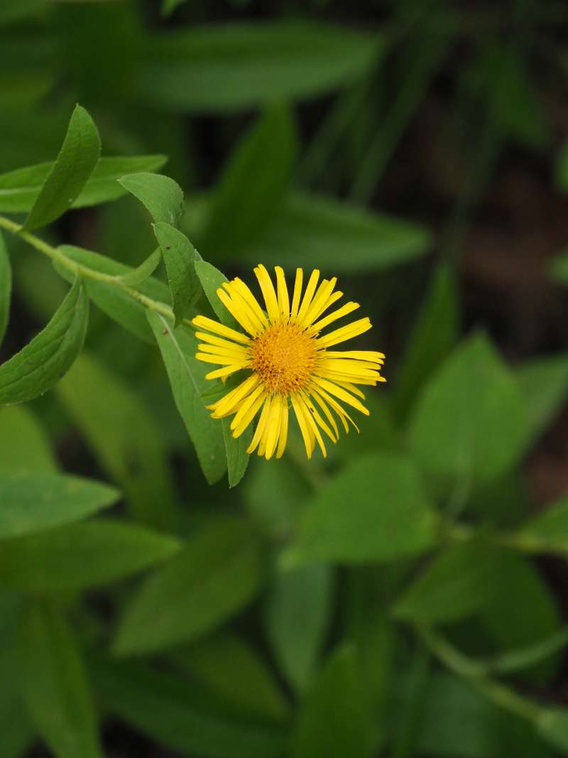 P7180037