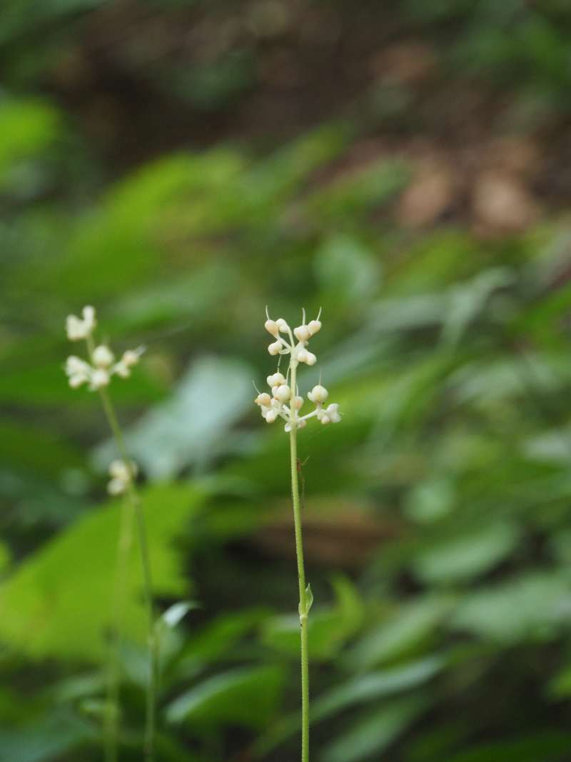 P7189997