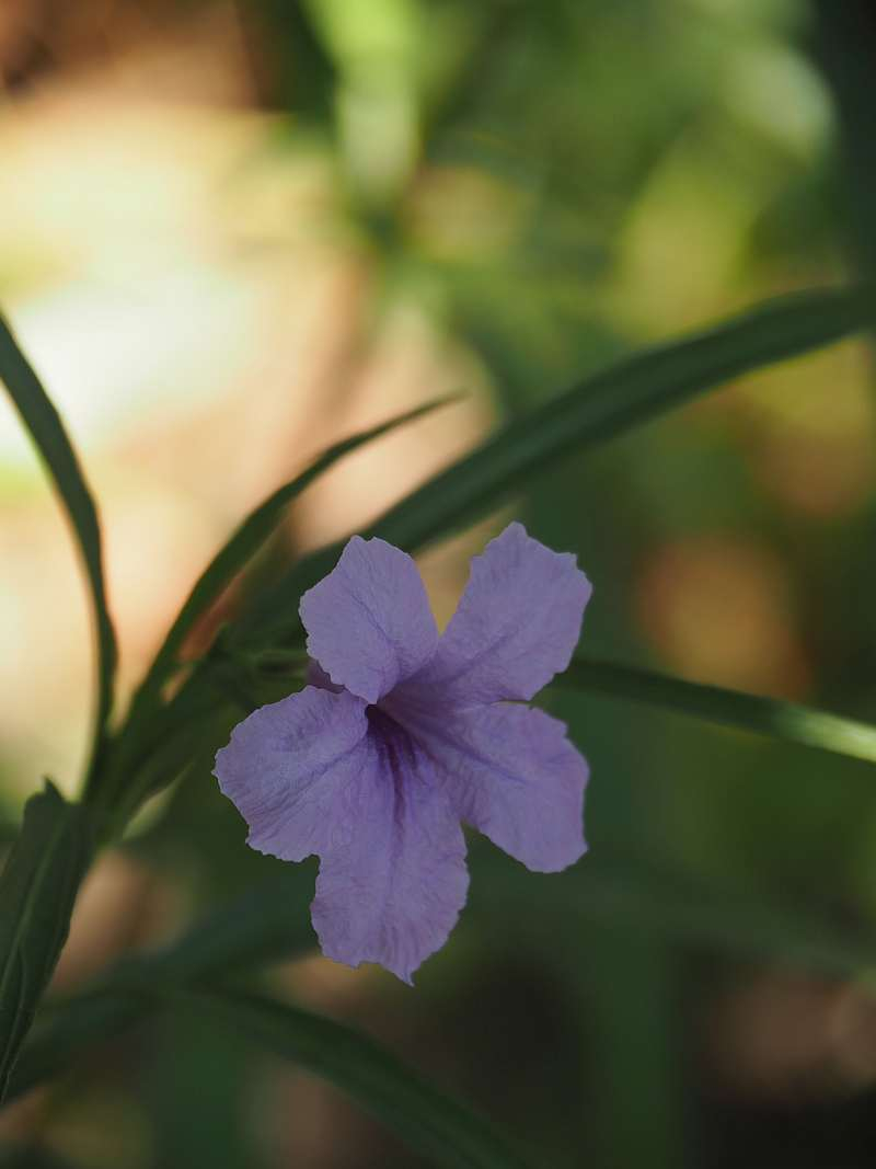 P8030713